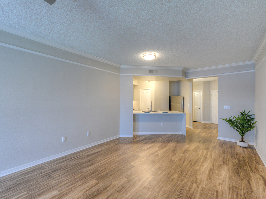 Timucuan Lakeside At Town Center Apartments, 10135 Gate Pkwy N